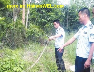 are there any snakes on hainan china